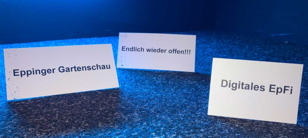 Mehr über den Artikel erfahren Unser 3 Stufenplan 2021: Kultur pur!